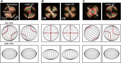 Electro-optic response of bipolar nematic liquid crystal confined in oblate spheroid